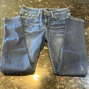 Banana Republic Blue Skinny Jeans